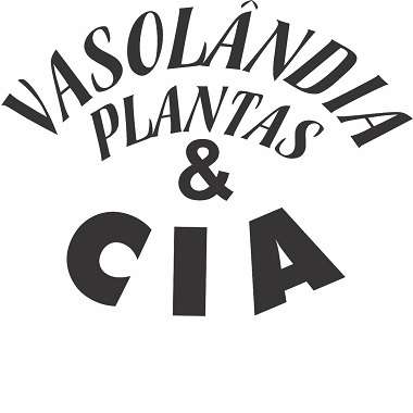 VASOLANDIA PLANTAS & CIA