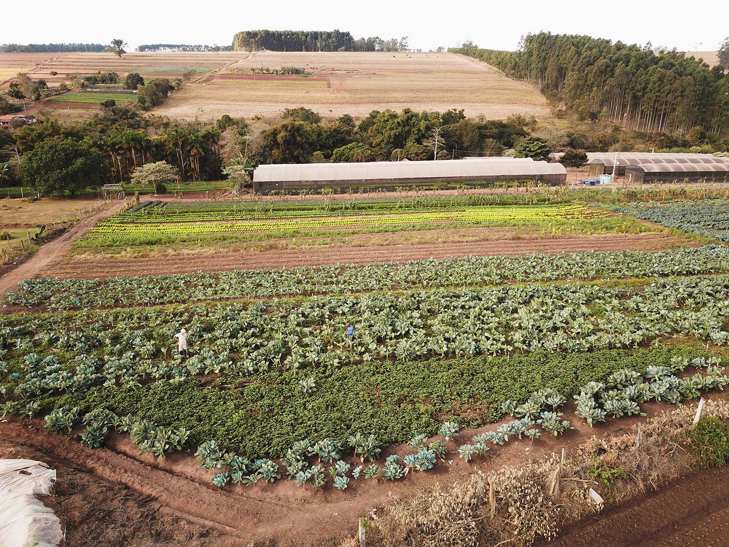 Chuva compromete estrutura e Feira de Negócios é adiada